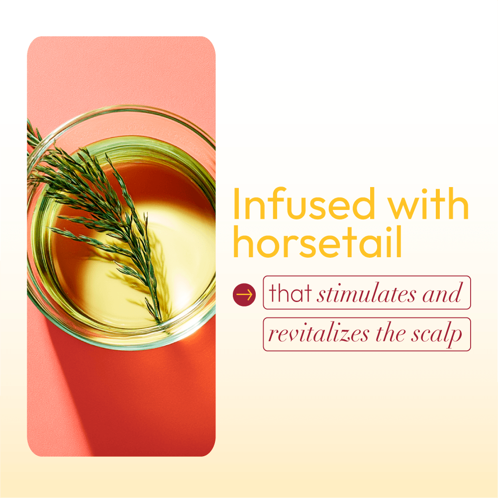 ORS HAIRestore Hair Fertilizer with Nettle Leaf and Horsetail Extract (6.0 oz)
